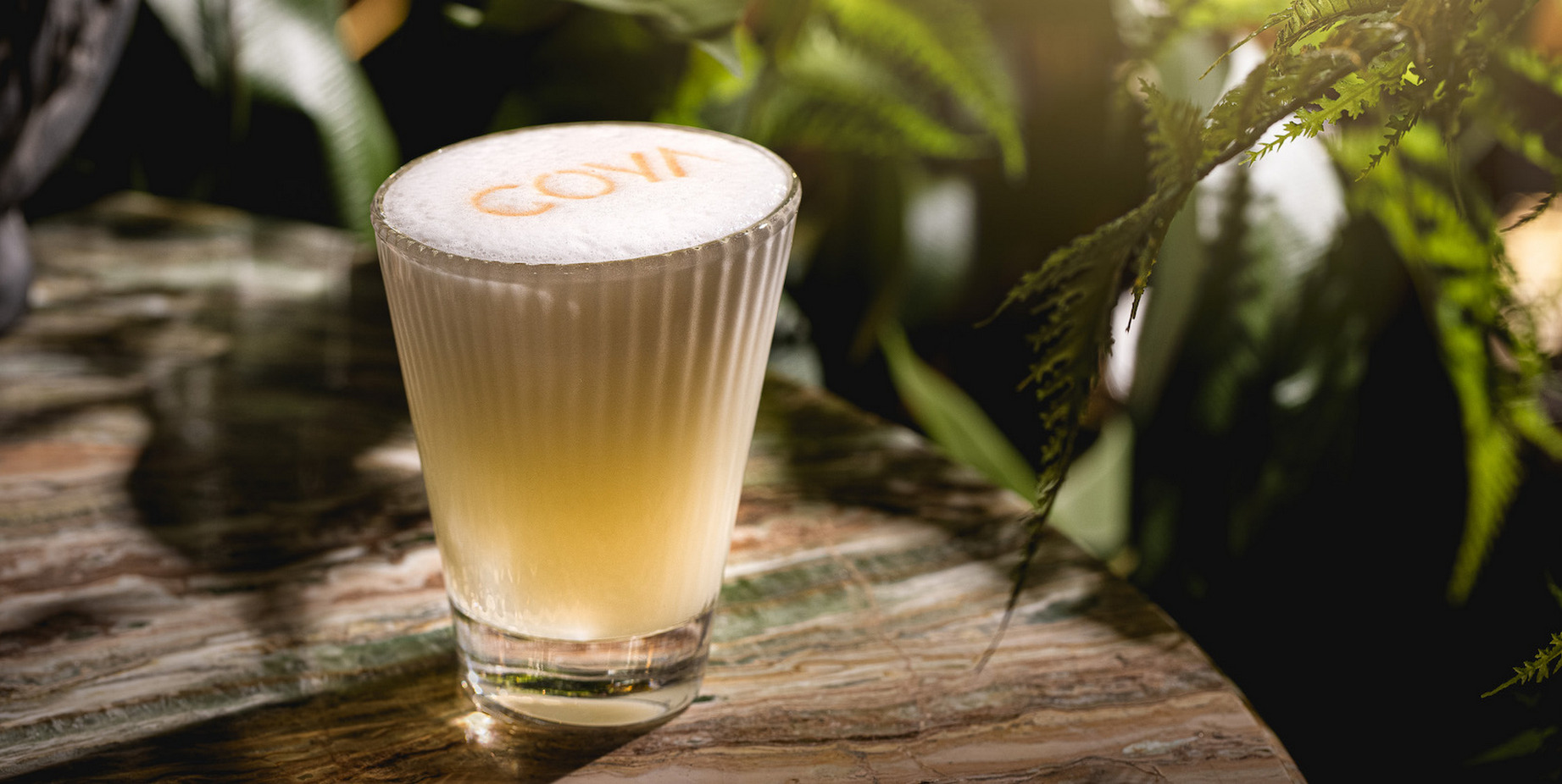 Coya Dubai stylish interior Top Restaurants in Dubai